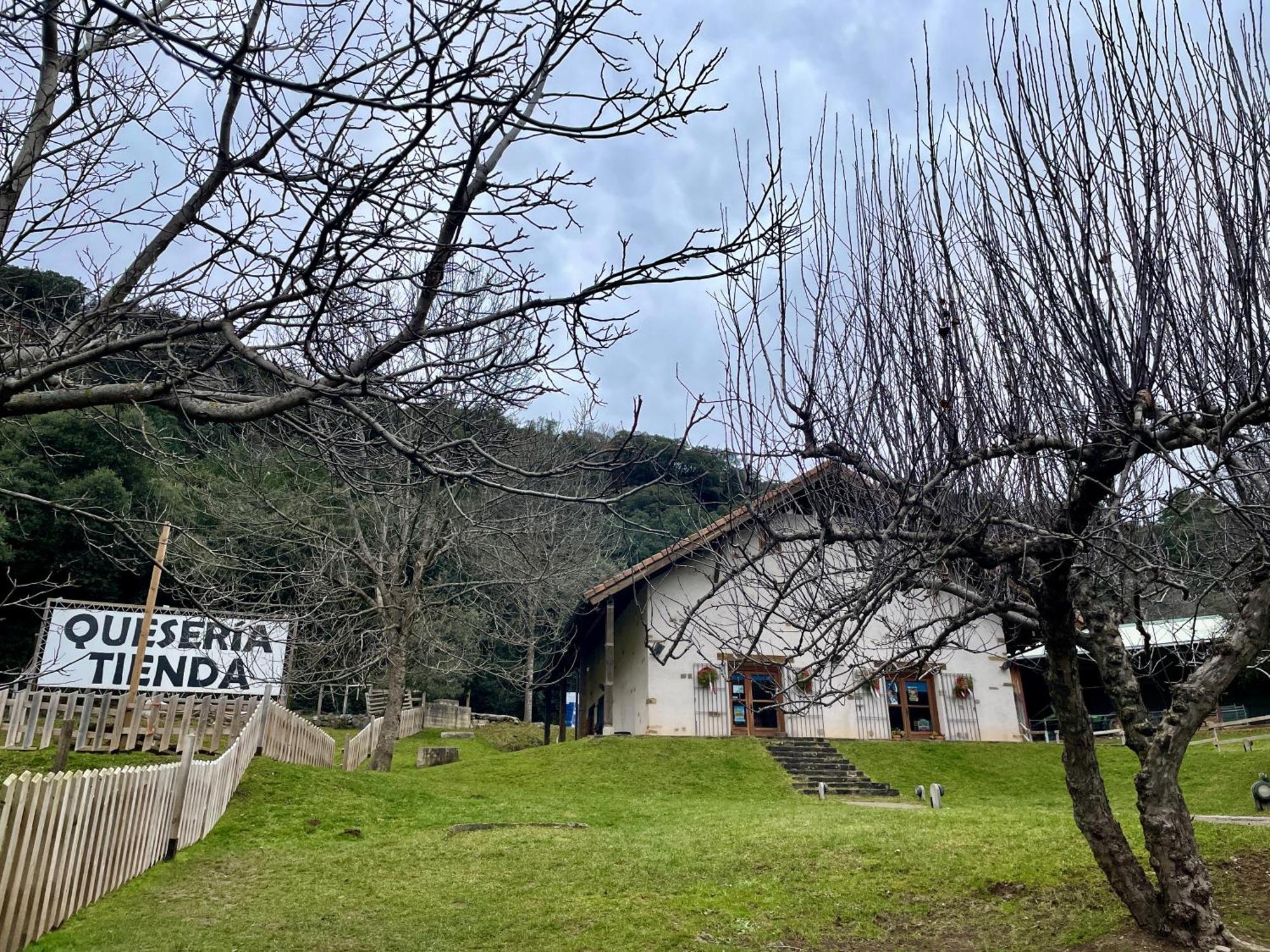 Calmfranc Atico Abuhardillado Con Vistas Al Rio Y La Montana Avistamiento De Ciervos En Canfranc Pueblo Exteriér fotografie