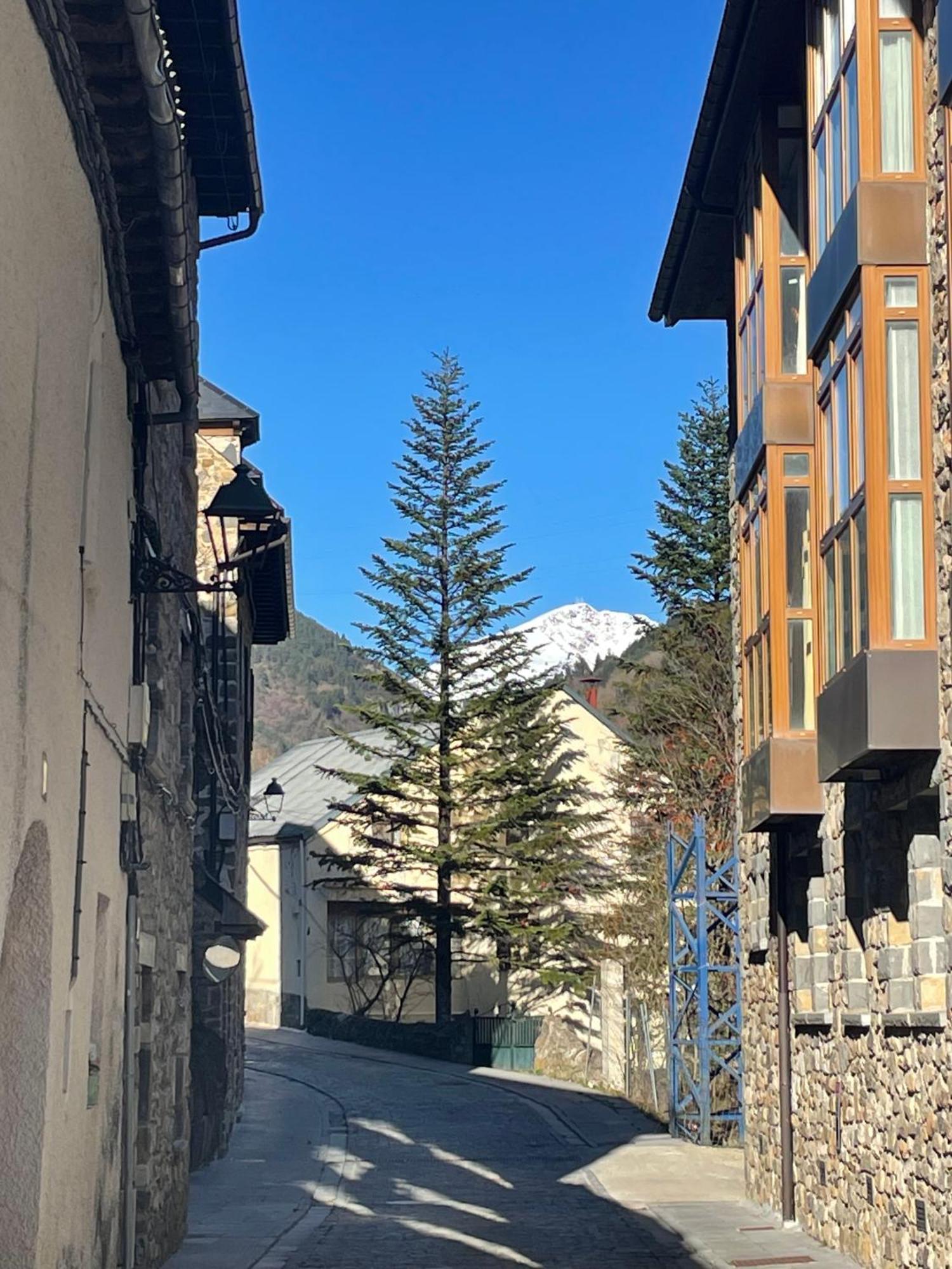 Calmfranc Atico Abuhardillado Con Vistas Al Rio Y La Montana Avistamiento De Ciervos En Canfranc Pueblo Exteriér fotografie