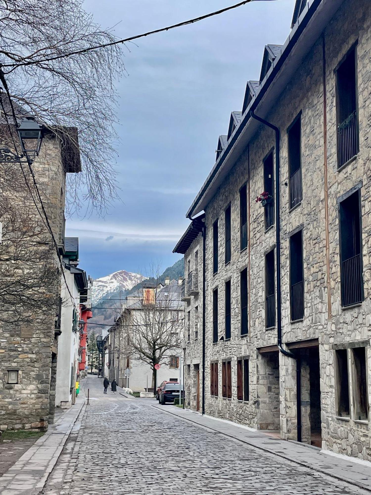 Calmfranc Atico Abuhardillado Con Vistas Al Rio Y La Montana Avistamiento De Ciervos En Canfranc Pueblo Exteriér fotografie